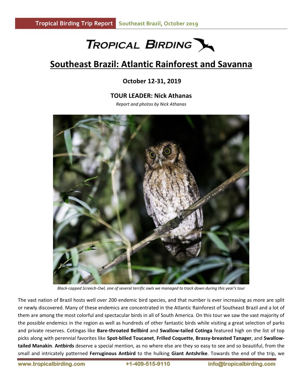 Southeast Brazil: Atlantic Rainforest and Savanna