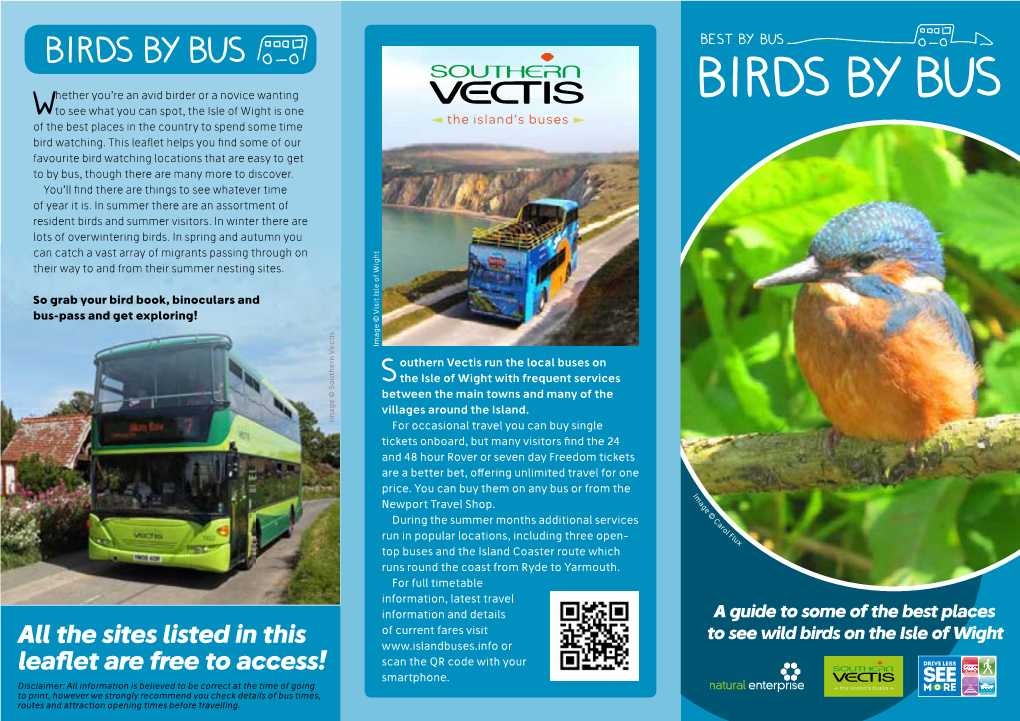Birds by Bus by Birds