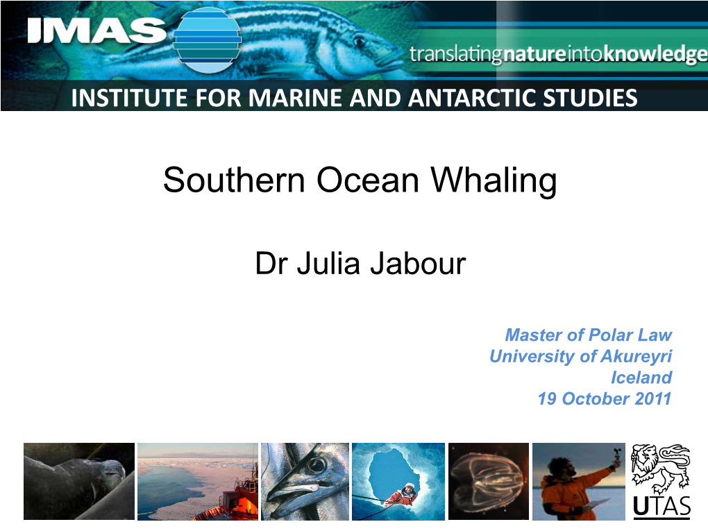 Southern Ocean Whaling