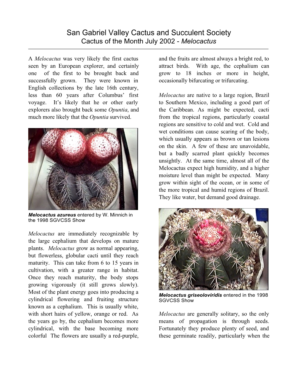 Cactus of the Month July 2002 - Melocactus