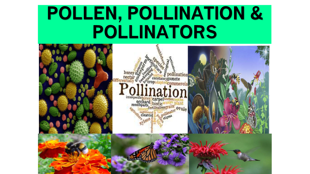 Pollen, Pollination & Pollinators