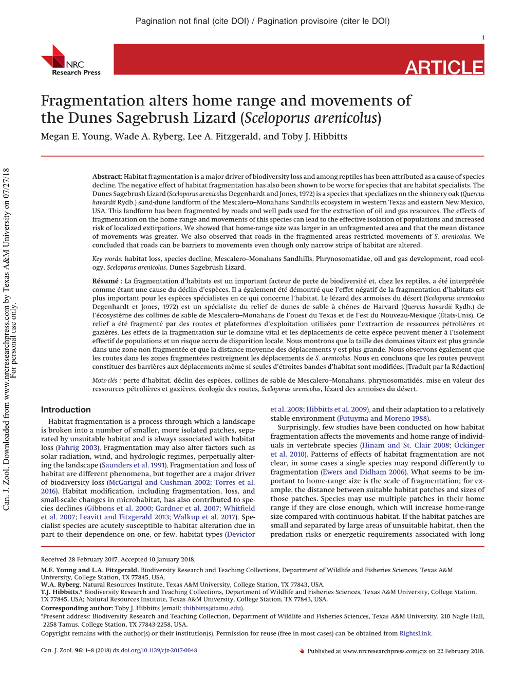 Fragmentation Alters Home Range and Movements of the Dunes Sagebrush Lizard (Sceloporus Arenicolus) Megan E