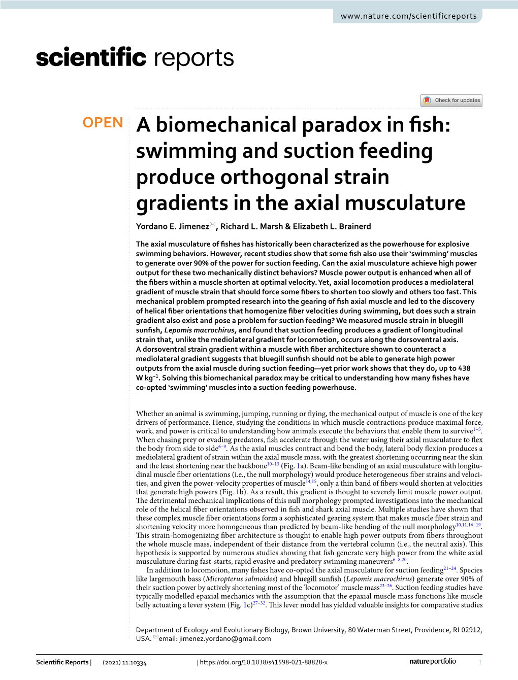 Swimming and Suction Feeding Produce Orthogonal Strain Gradients in the Axial Musculature Yordano E