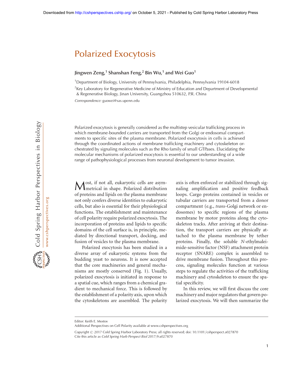 Polarized Exocytosis