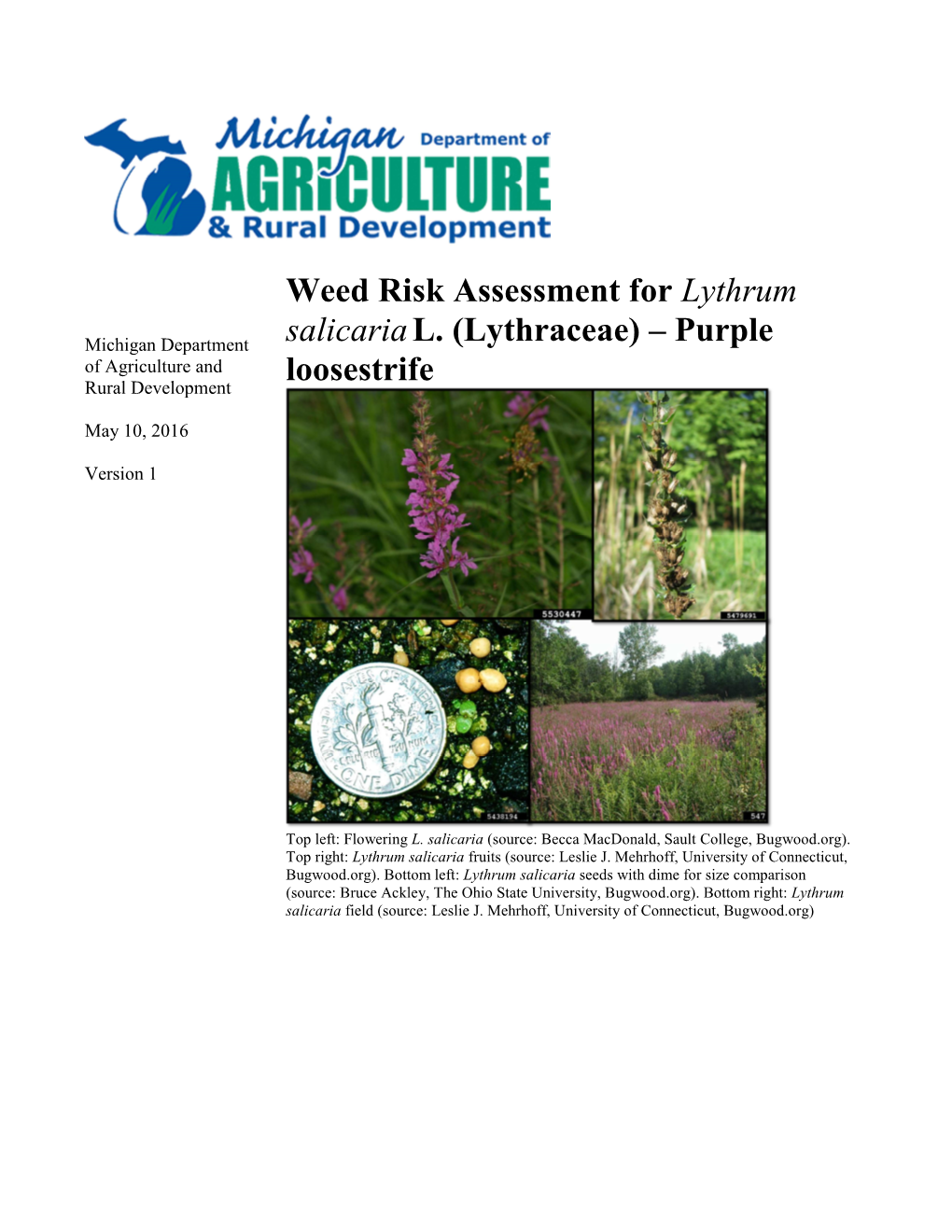 MDARD Weed Risk Assessment for Purple Loosestrife (Lythrum Salicaria)