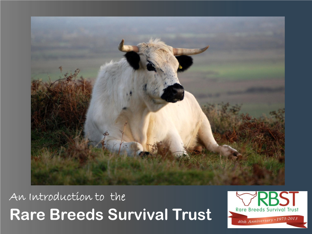 Rare Breeds Survival Trust
