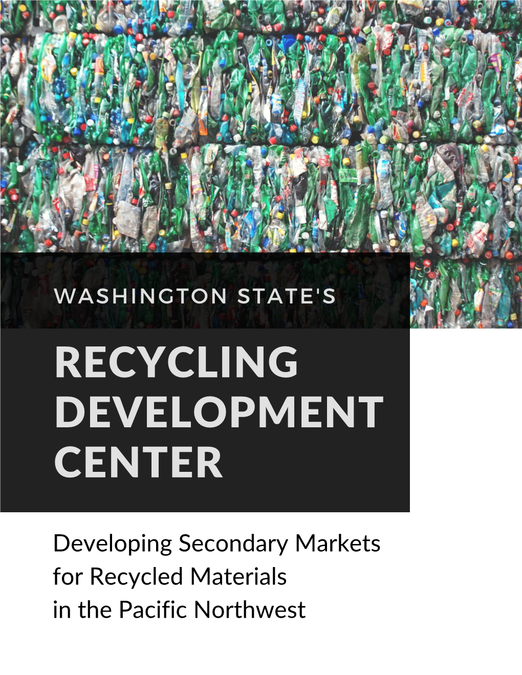 Recycling Development Center Report 2019