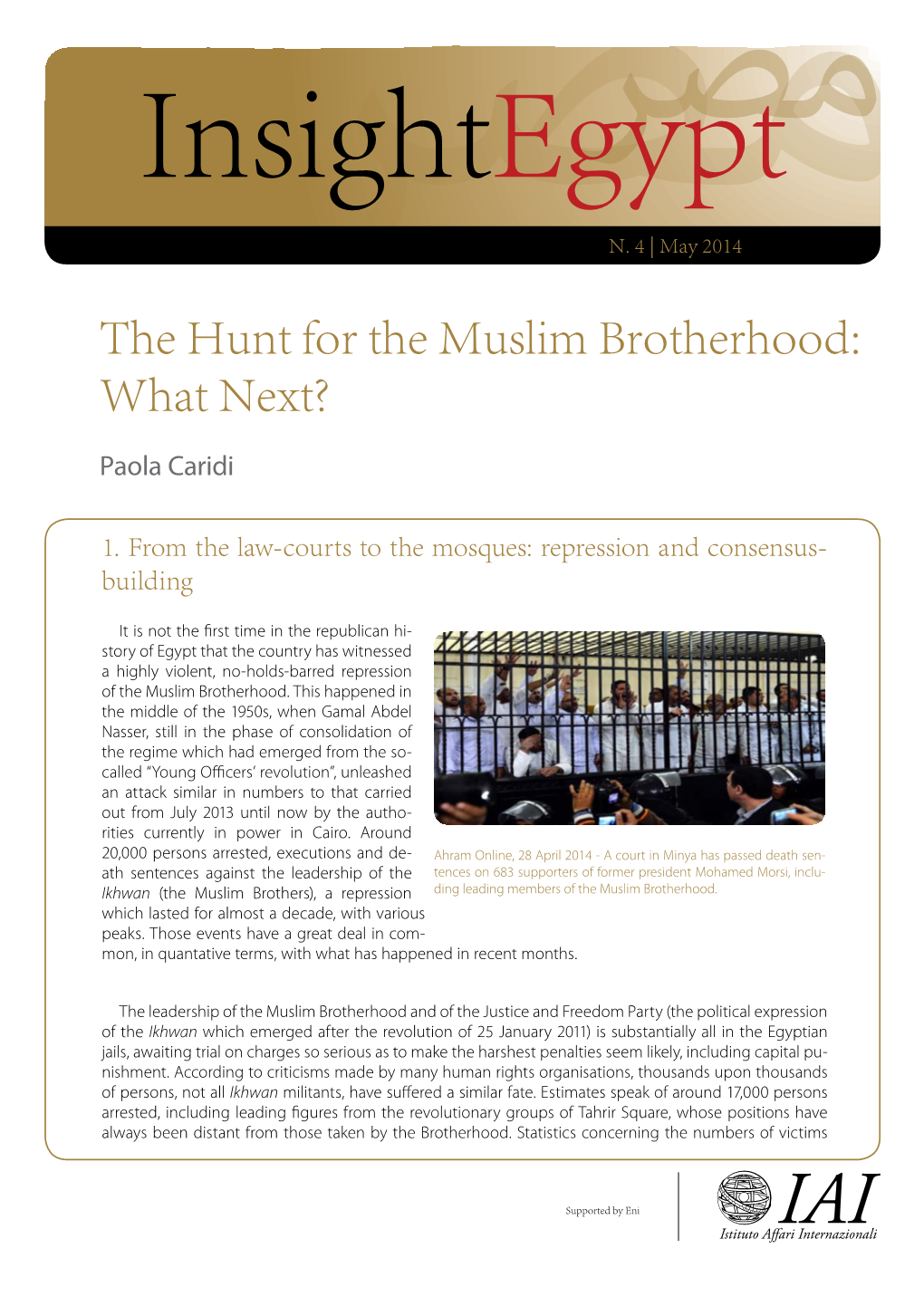 The Hunt for the Muslim Brotherhood: What Next?