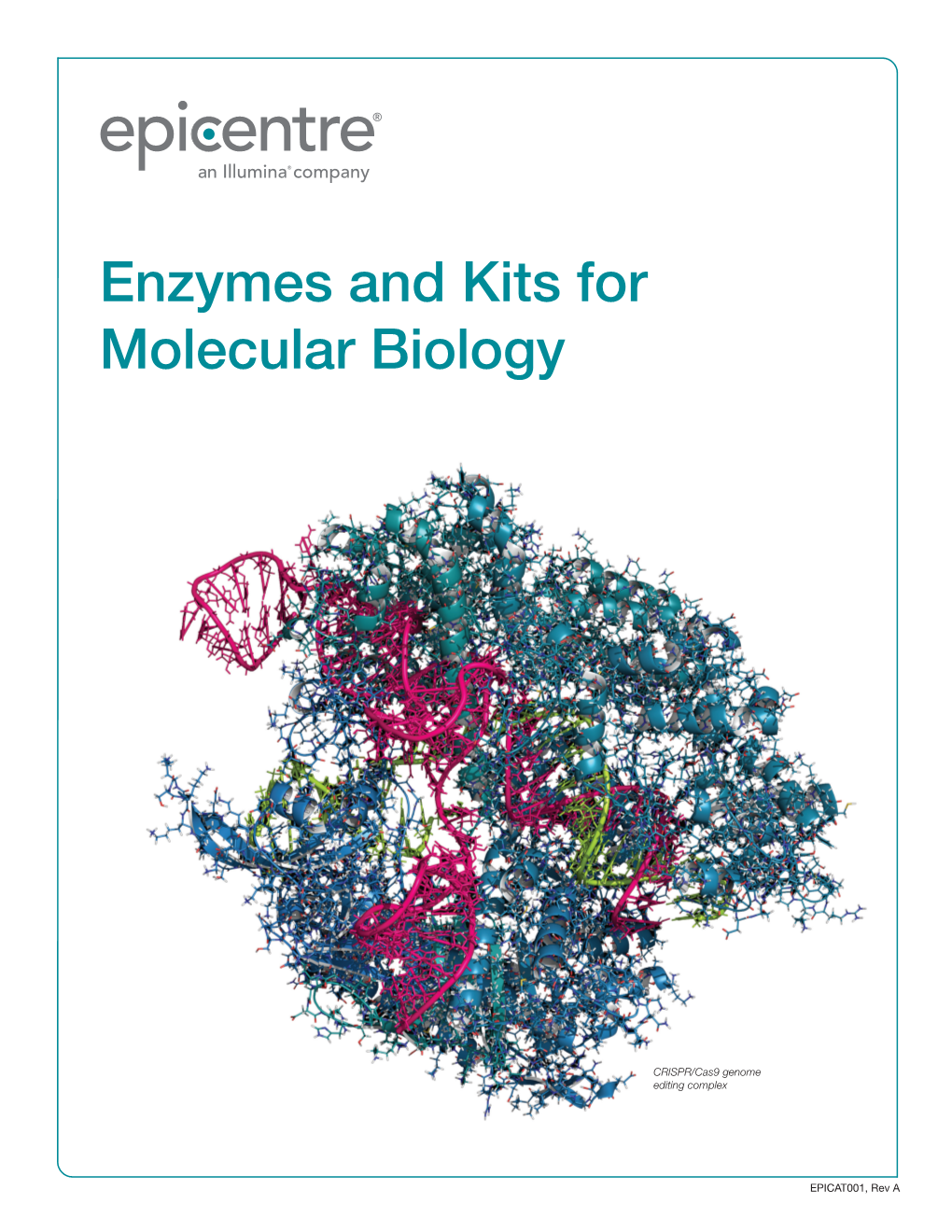 Enzymes and Kits for Molecular Biology