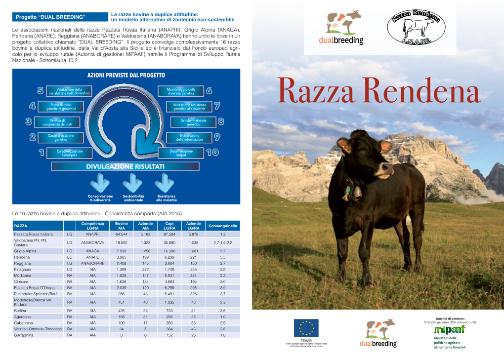 Brochure Rendena