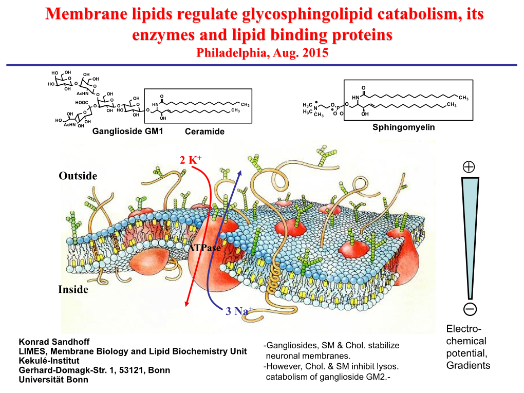 Membrane Lipids Regulate Glycosphingolipid Catabolism, Its Enzymes and Lipid Binding Proteins Philadelphia, Aug