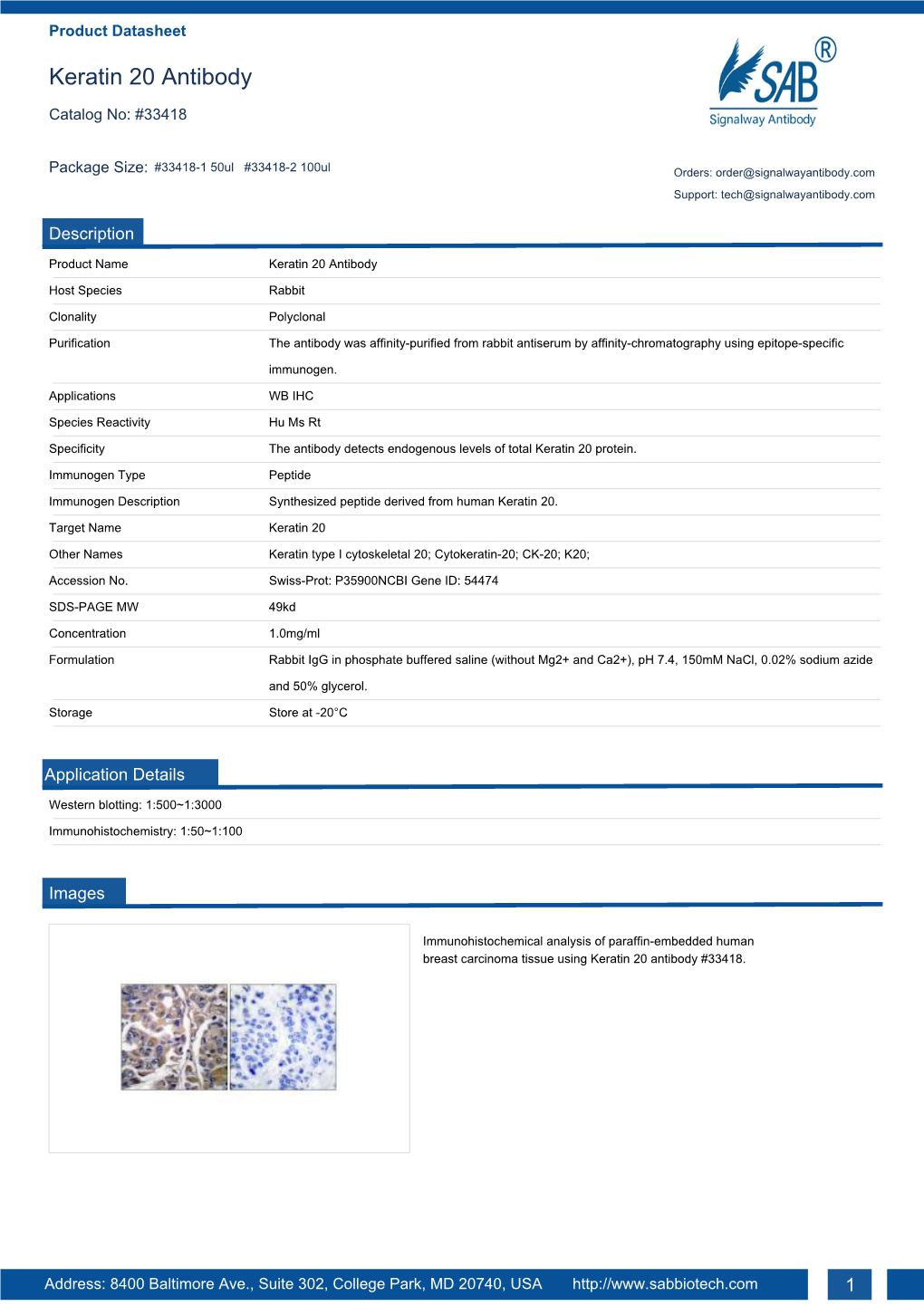 Keratin 20 Antibody