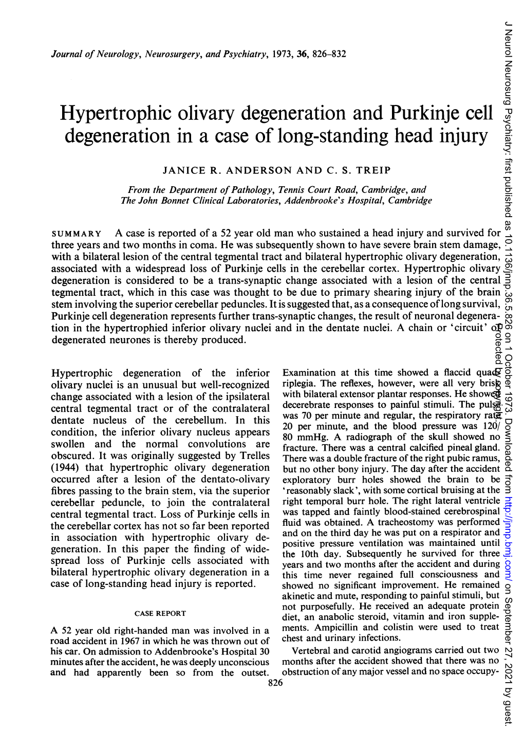 Hypertrophic Olivary Degeneration and Purkinje Cell Degeneration in a Case of Long-Standing Head Injury