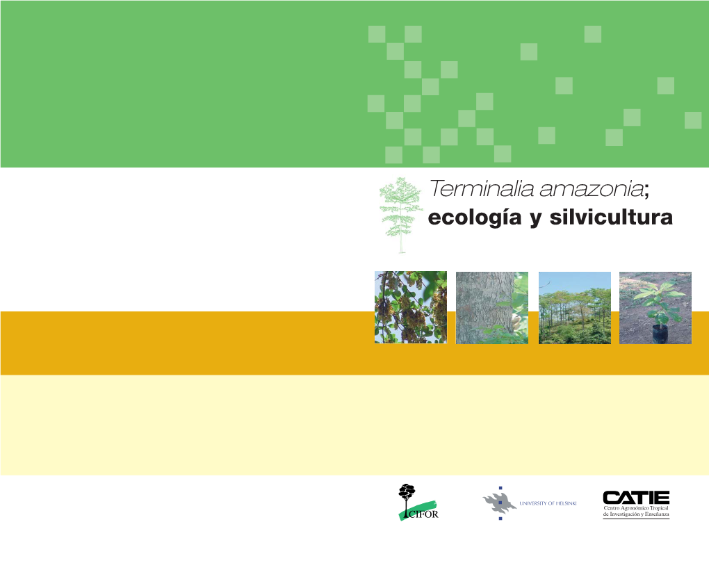 Terminalia Amazonia; Ecología Y Silvicultura