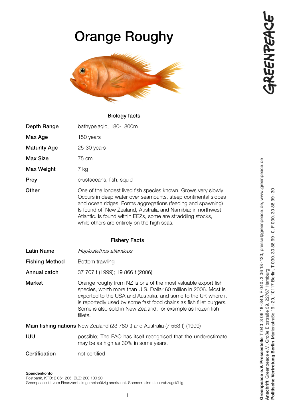 Orange Roughy