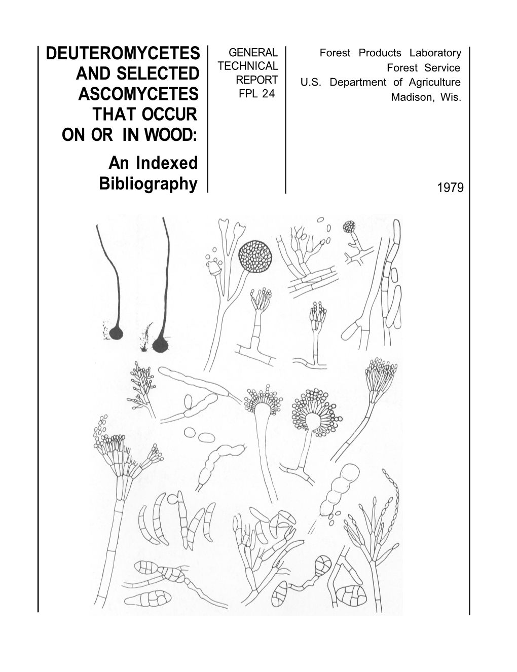 DEUTEROMYCETES and SELECTED ASCOMYCETES THAT OCCUR on OR in WOOD: an Indexed Bibliography