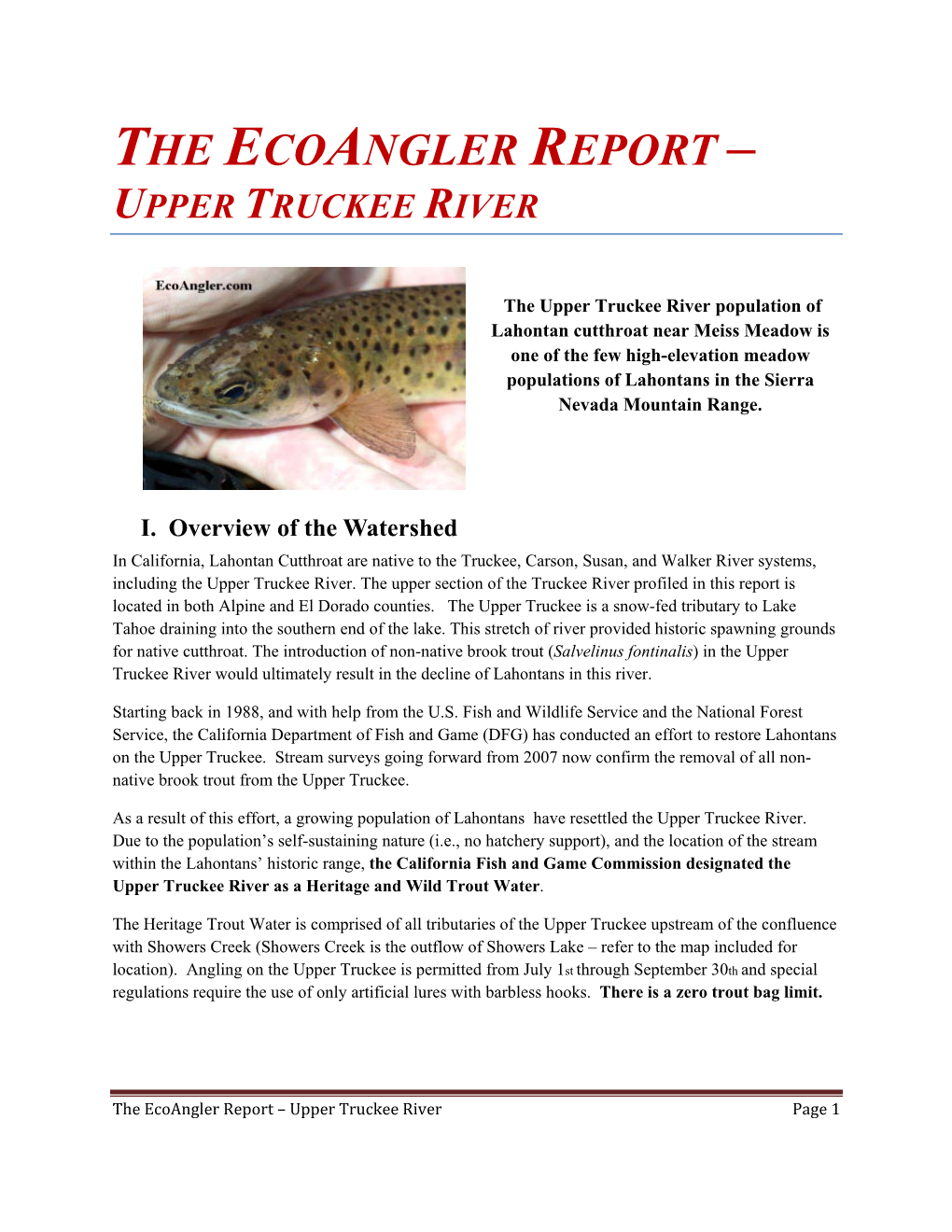 The Ecoangler Report – Upper Truckee River