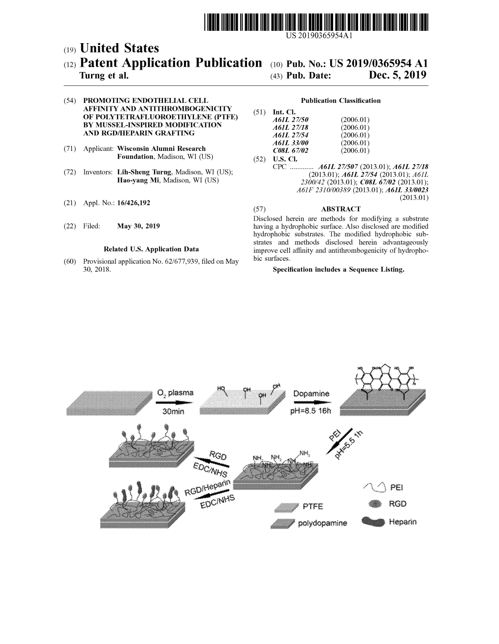 C19) United States C12) Patent Application Publication C10) Pub