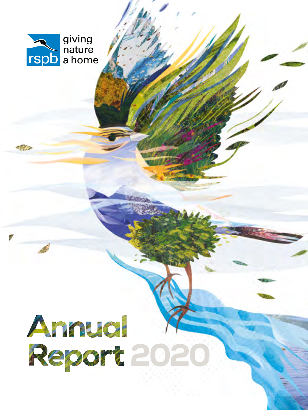 Rspb-Annual-Report-2020-Interactive