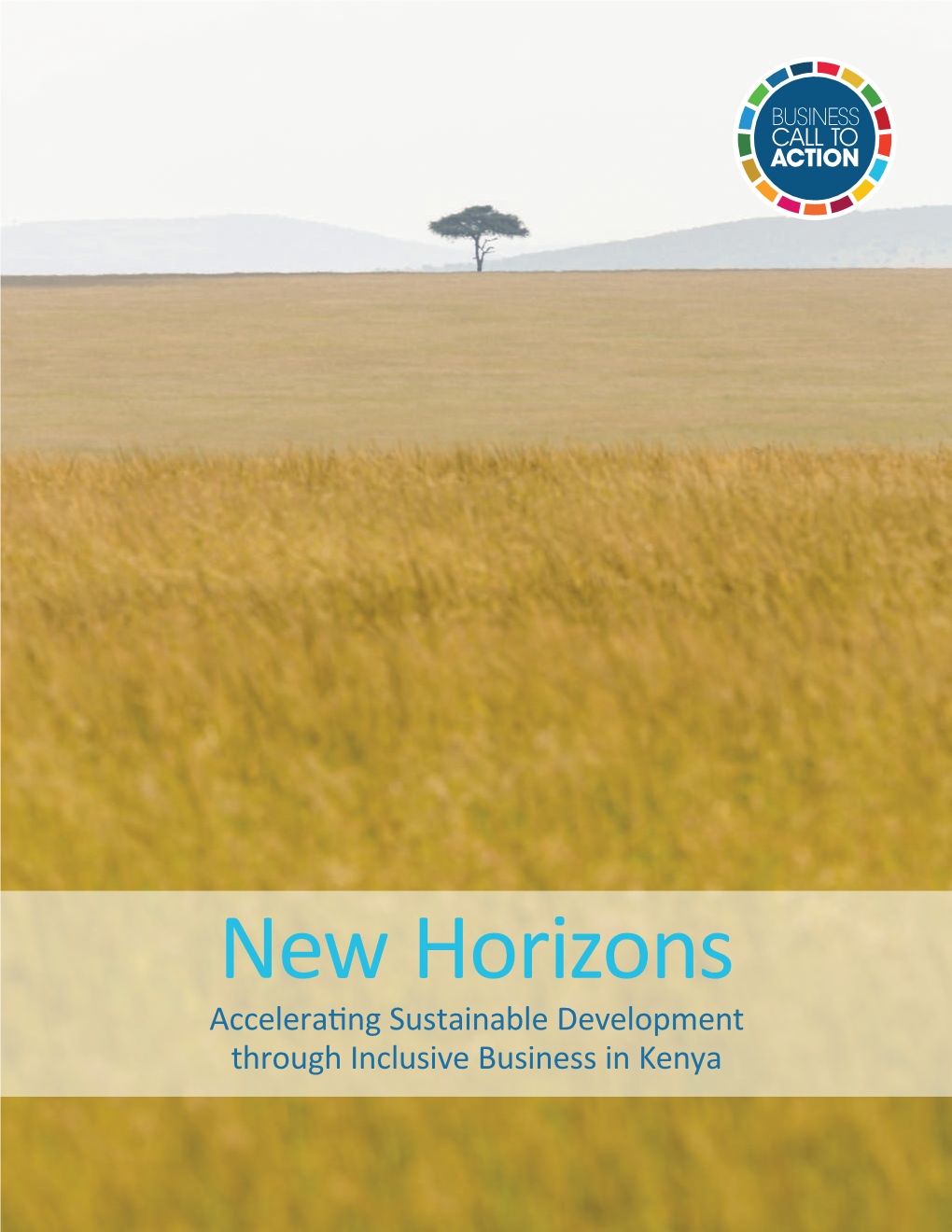 New Horizons: Accelerating Sustainable Development Through Inclusive Business in Kenya 1 List of Acronyms