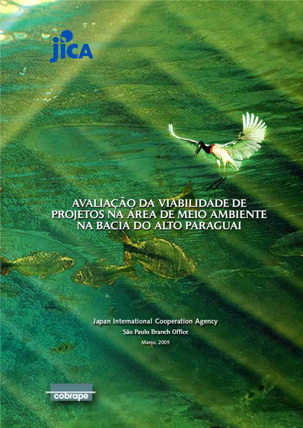 Bacia Do Alto Paraguai 1 Desenvolvimento E Conflitos Ambientais