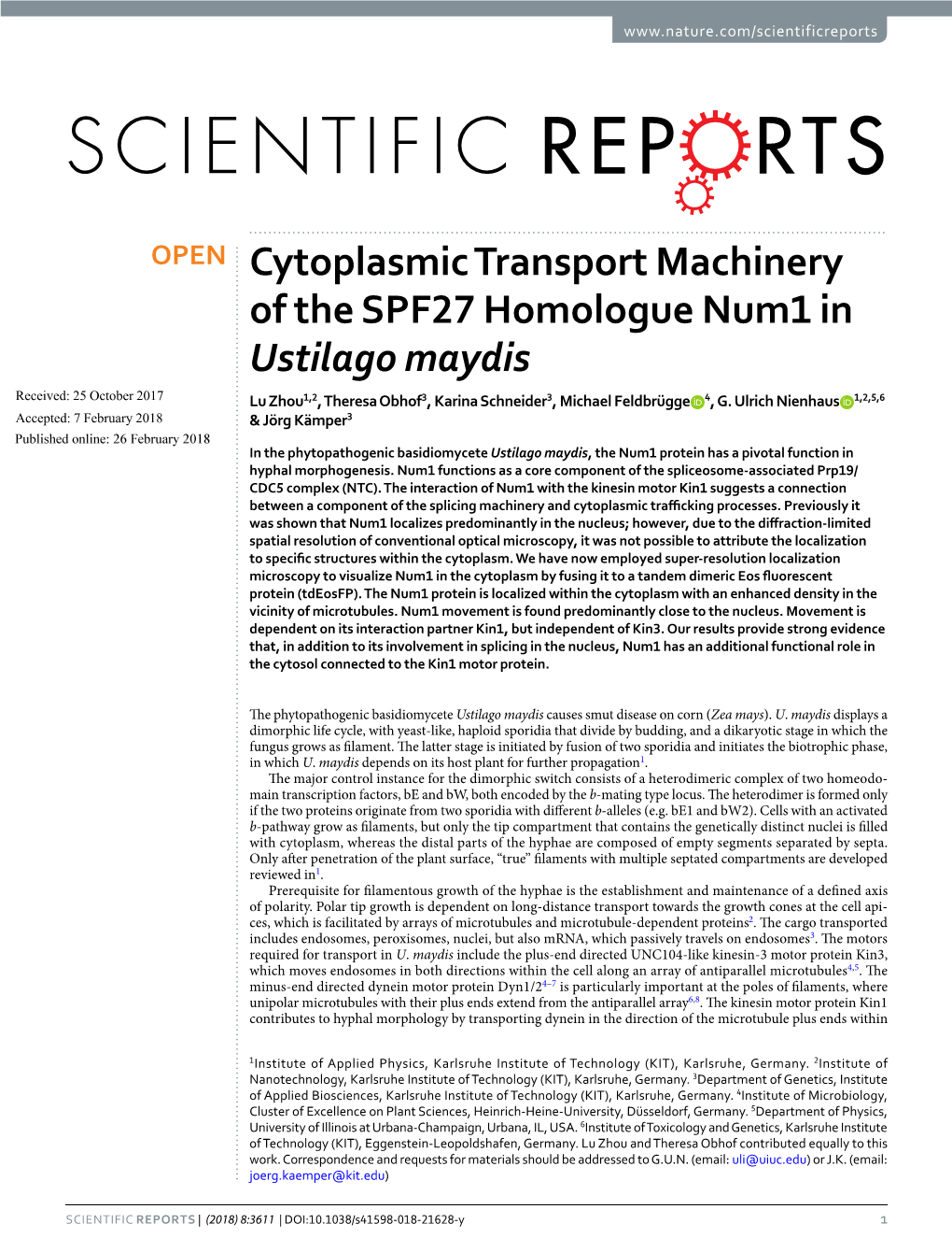 Cytoplasmic Transport Machinery of the SPF27 Homologue Num1 In