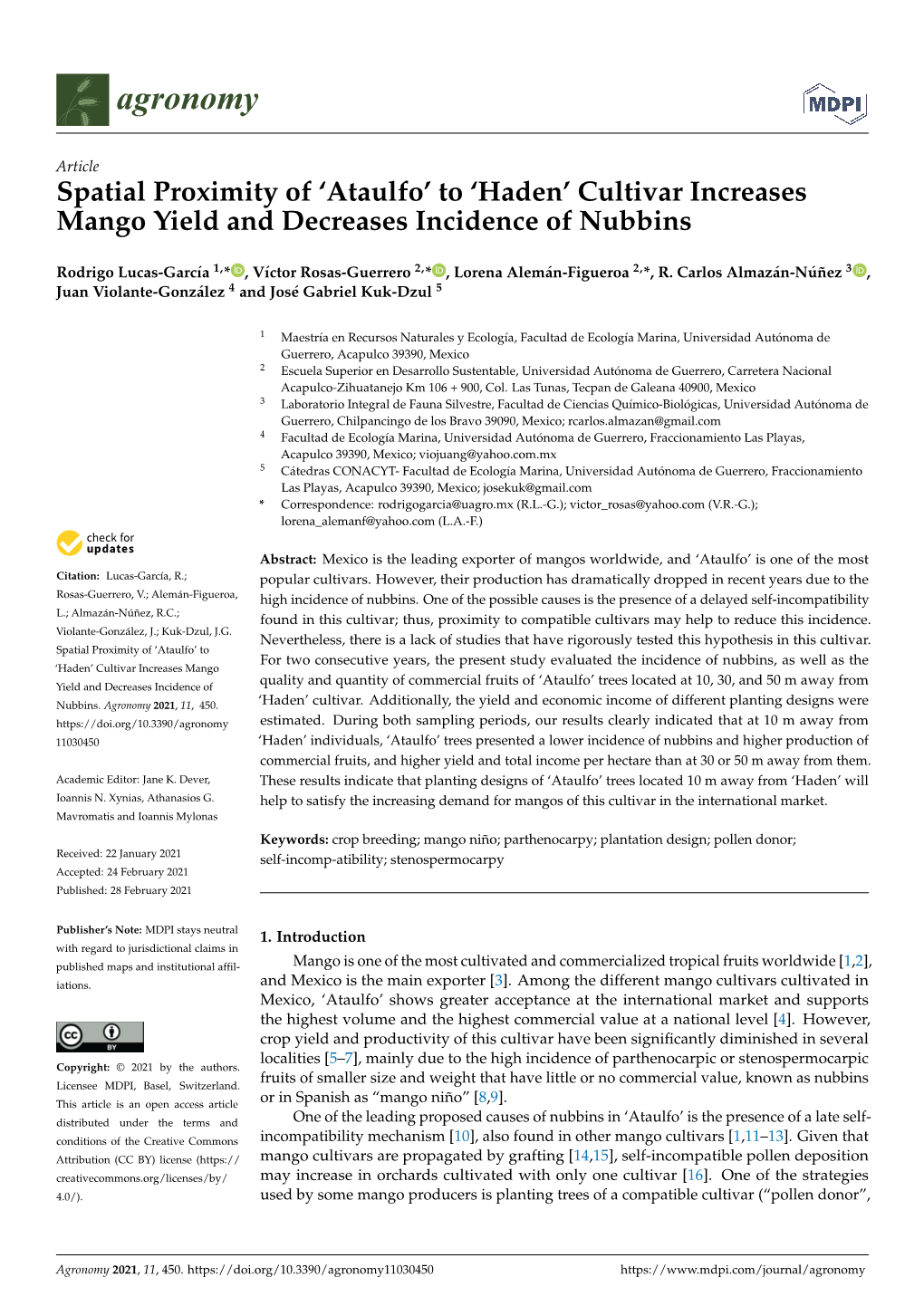 Spatial Proximity of 'Ataulfo' to 'Haden' Cultivar Increases Mango Yield And