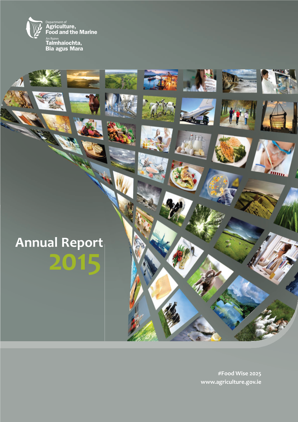 Annual Report 2015