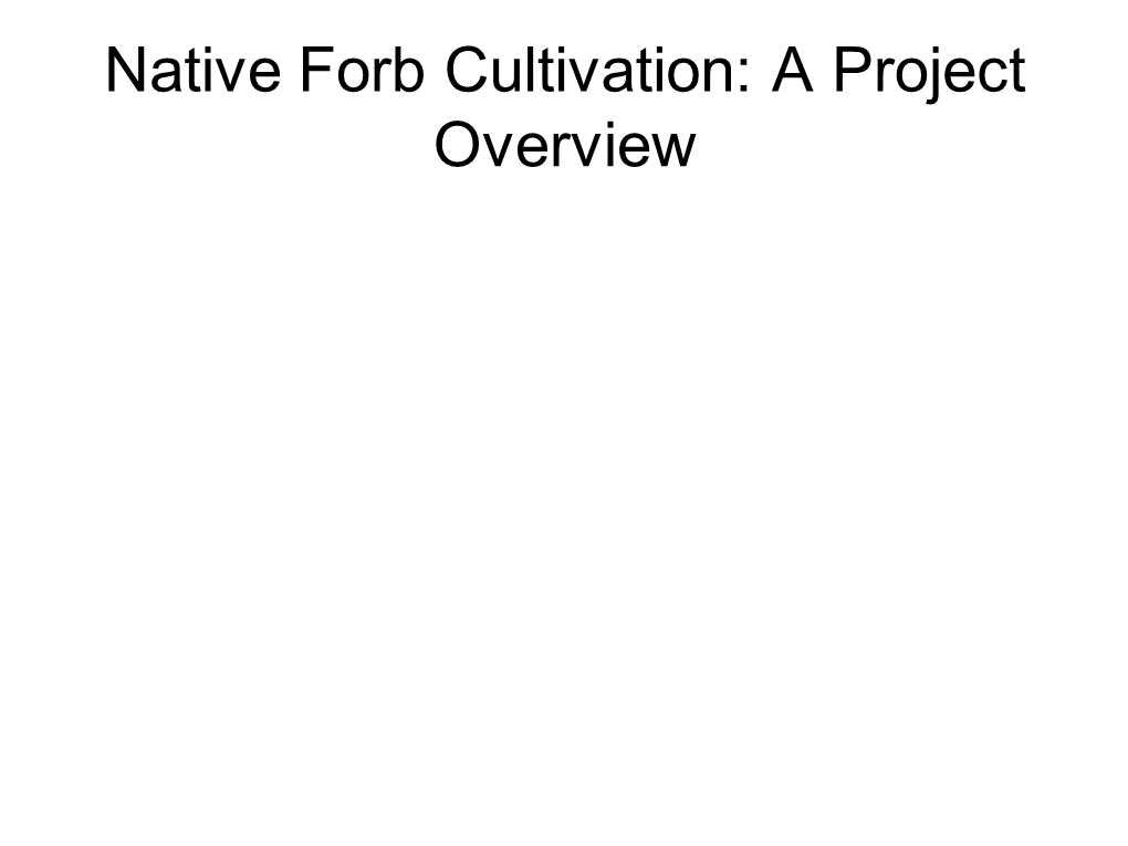 Cultivating Native Forbs