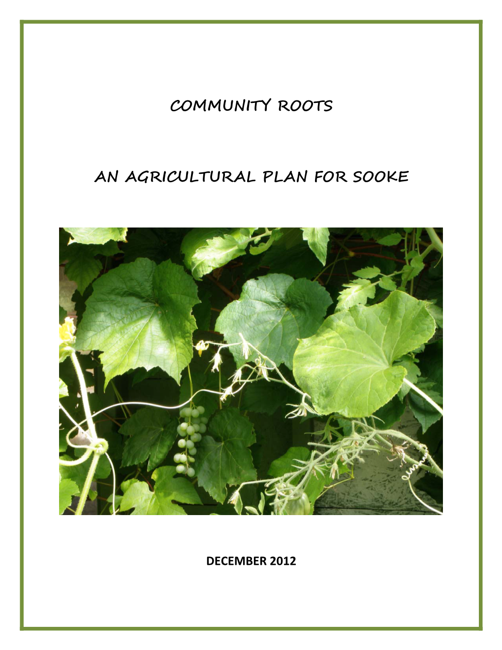 Agricultural Plan for Sooke