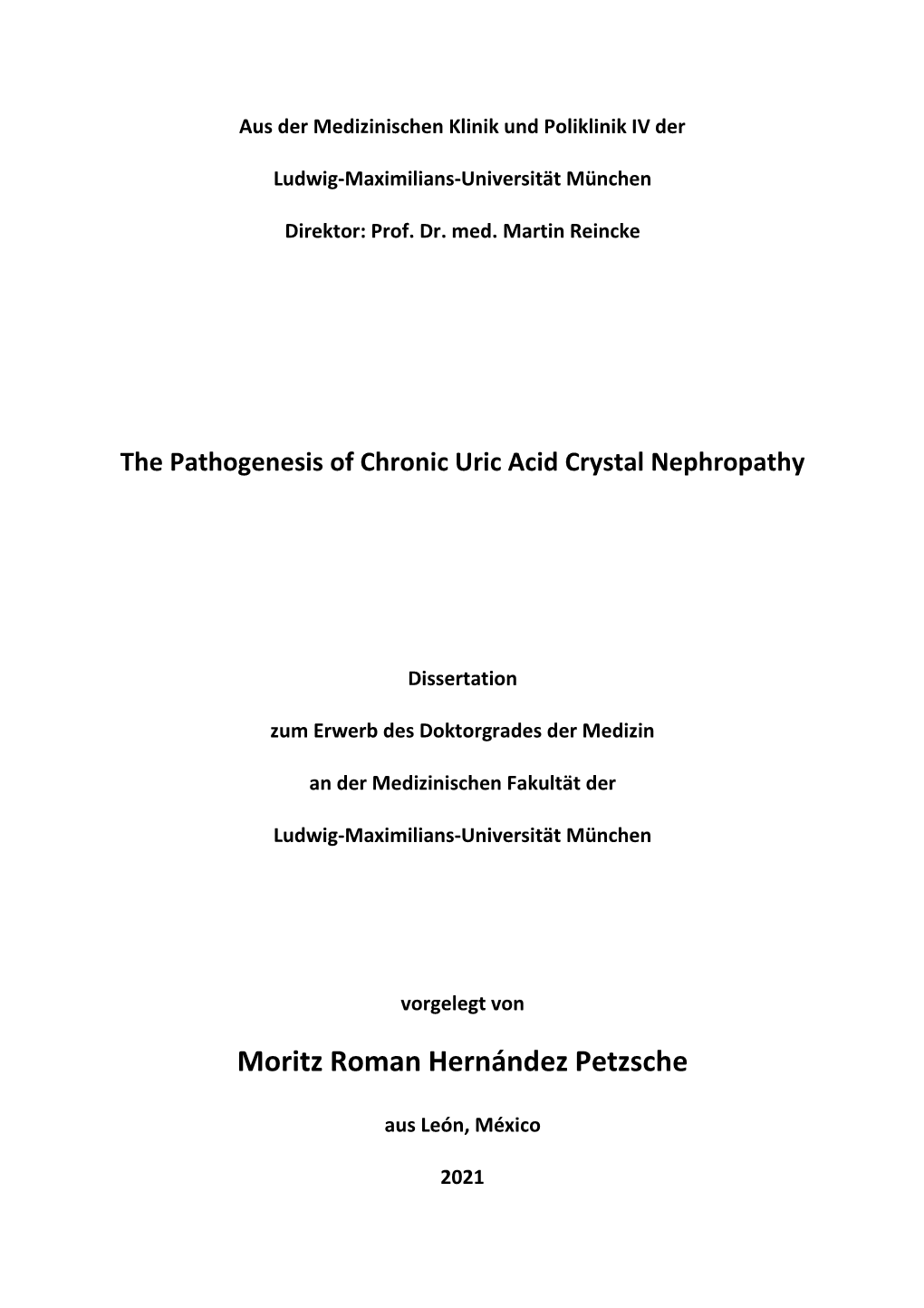 The Pathogenesis of Chronic Uric Acid Crystal Nephropathy