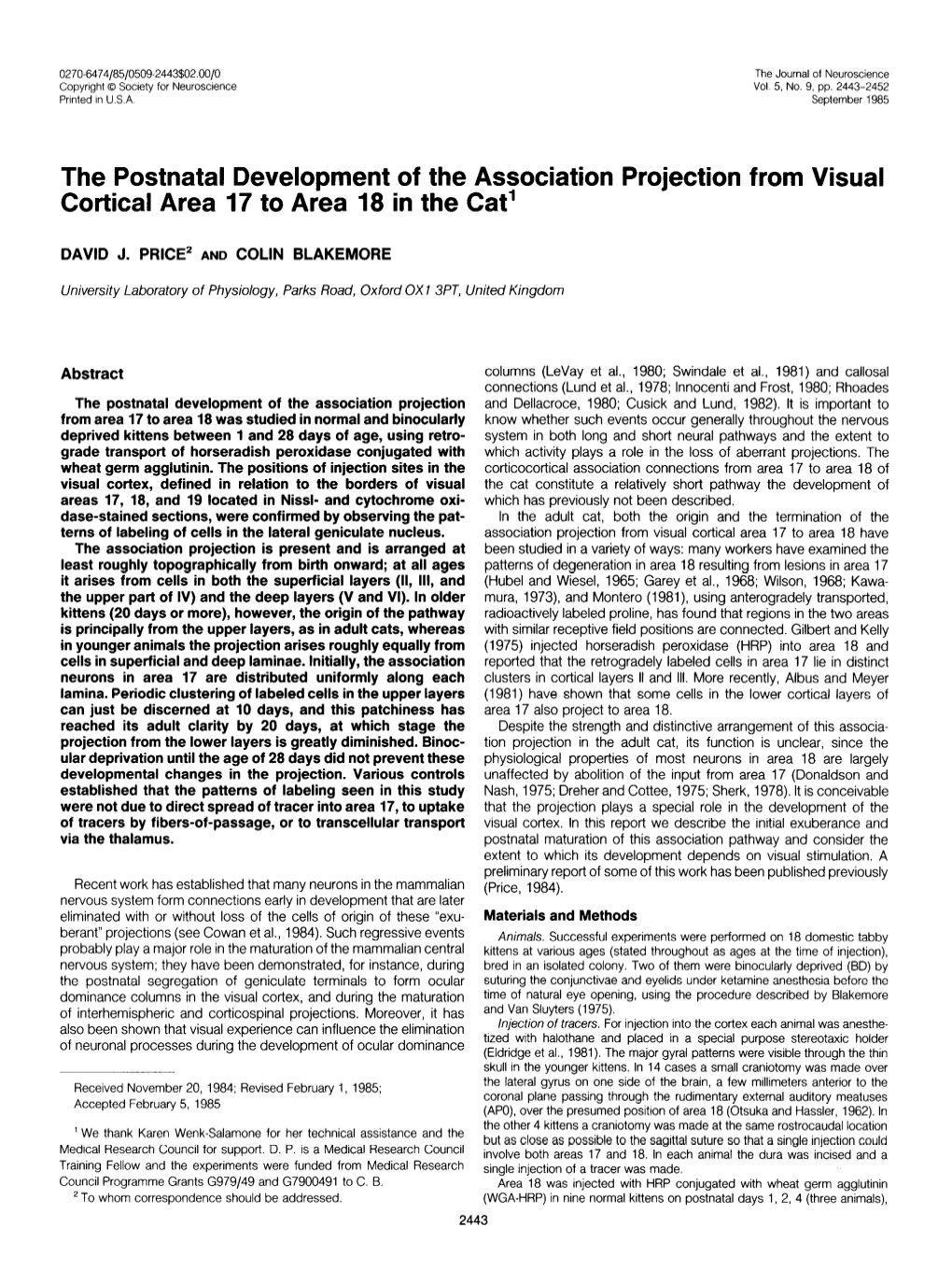 The Postnatal Development of the Association Projection from Visual Cortical Area 17 to Area 18 in the Cat’