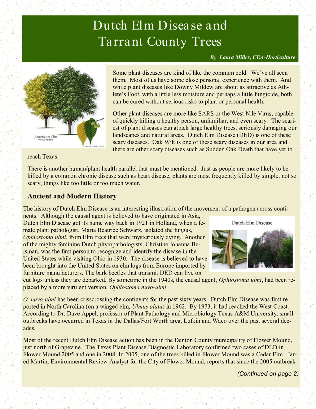 Dutch Elm Disease and Tarrant County Trees (Cont’D) Page 2