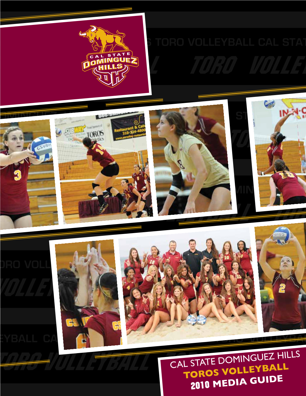 Ball TORO Volleyball TORO Vol- Guez Hills Toro Volleyball Cal State Dominguez Hills Leyball TORO Volleyball TORO