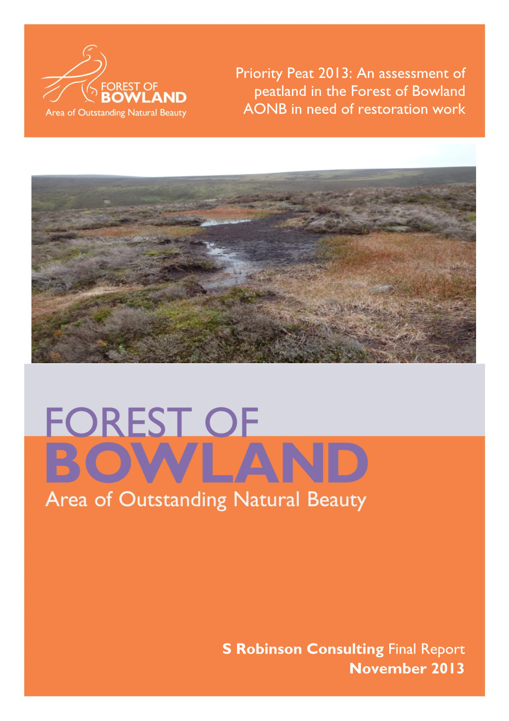 Priority Peat 2013: an Assessment of Peatland in the Forest of Bowland AONB in Need of Restoration Work