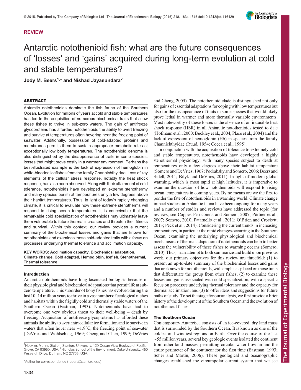 Antarctic Notothenioid Fish: What Are the Future Consequences of ‘Losses’ and ‘Gains’ Acquired During Long-Term Evolution at Cold and Stable Temperatures? Jody M