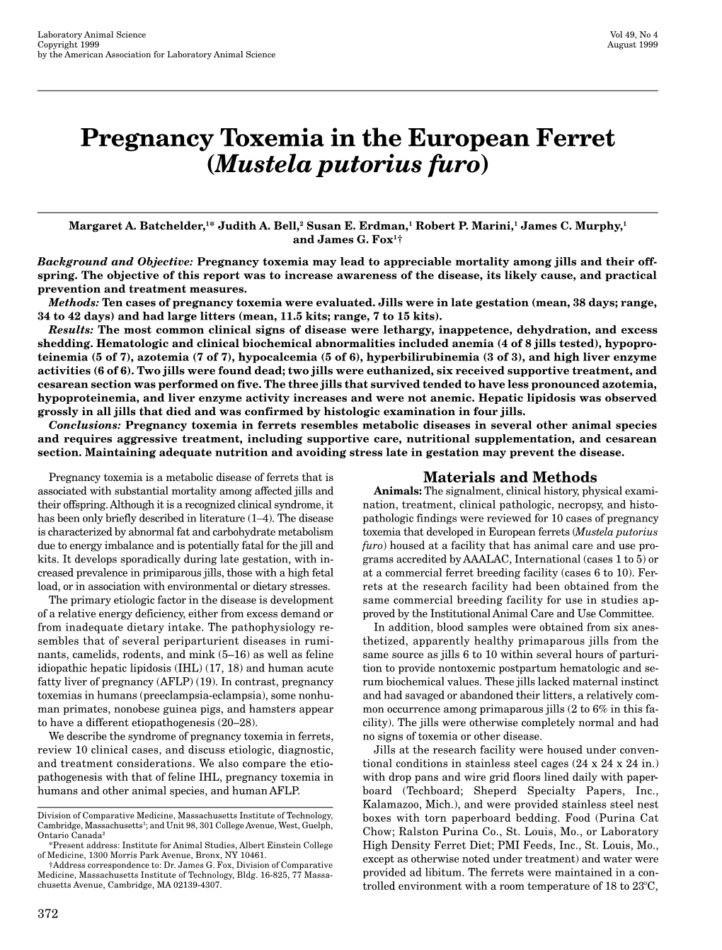Pregnancy Toxemia in the European Ferret (&lt;I&gt;Mustela Putorius Furo&lt;/I&gt;)