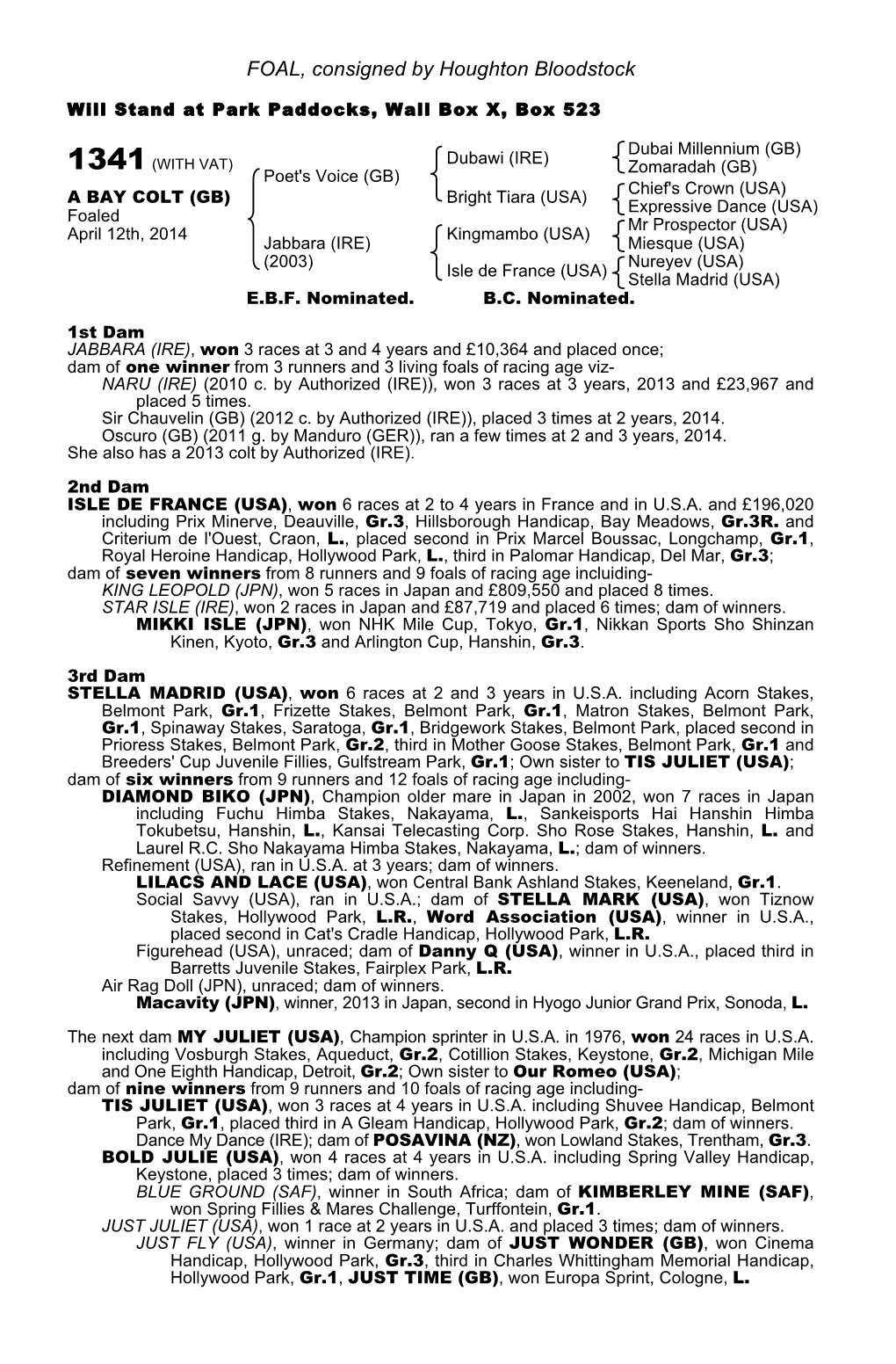 FOAL, Consigned by Houghton Bloodstock