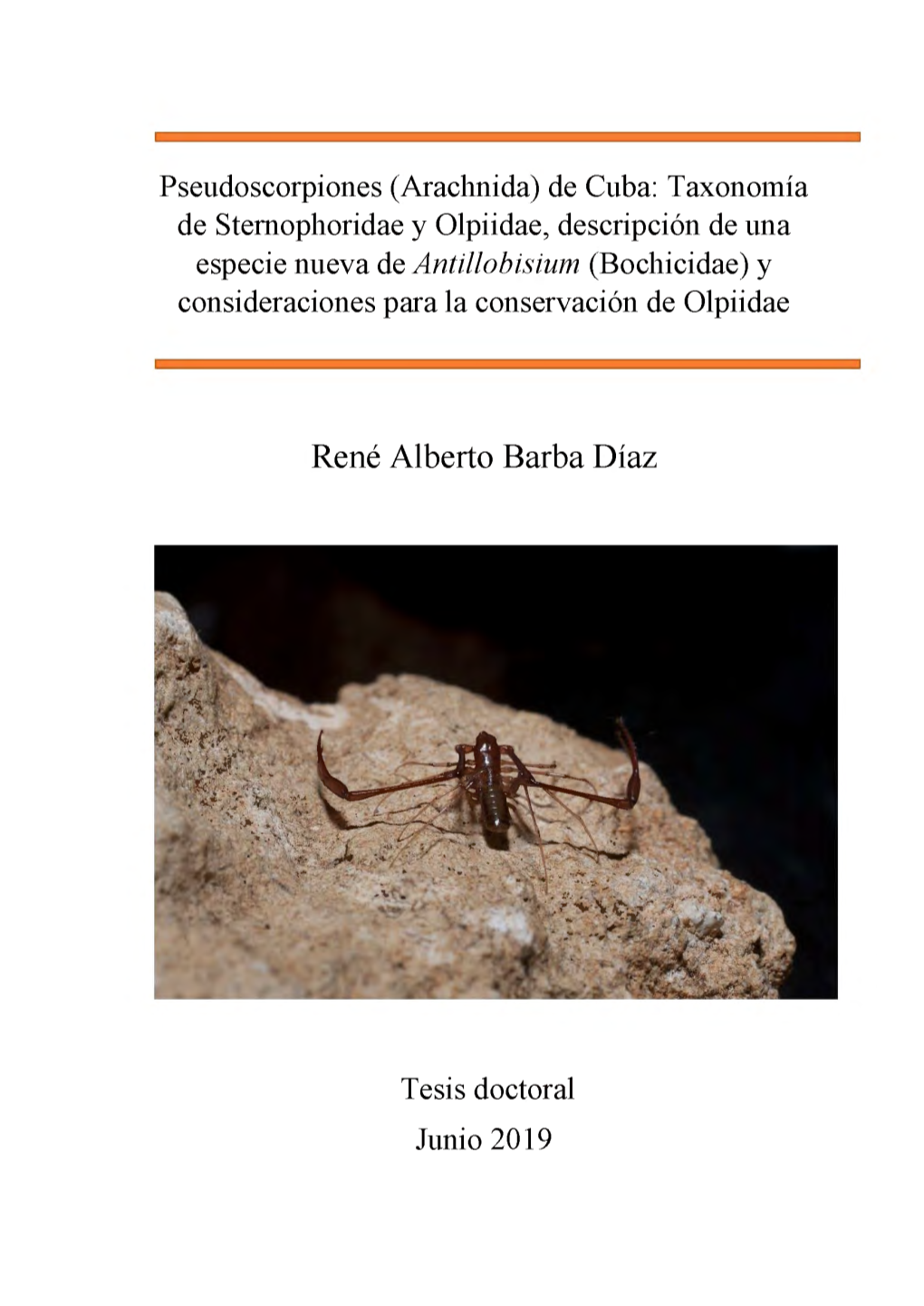 Pseudoscorpiones De Cuba