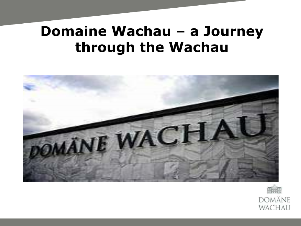 Domaine Wachau – a Journey Through the Wachau