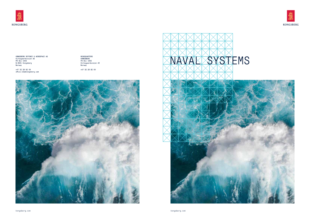 Naval Systems