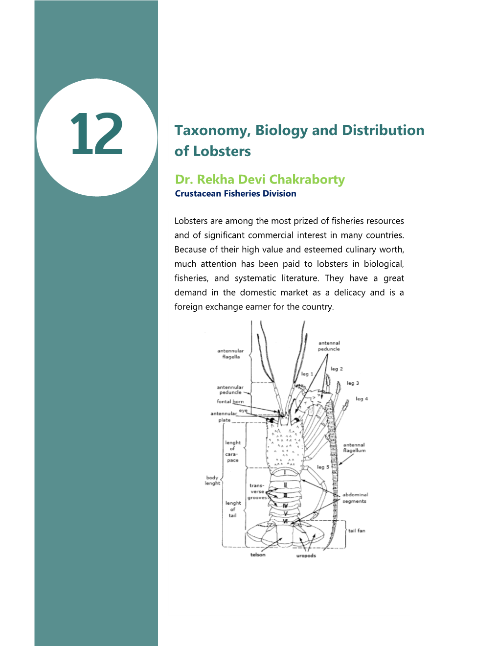 12 Taxonomy, Biology and Distribution of Lobsters