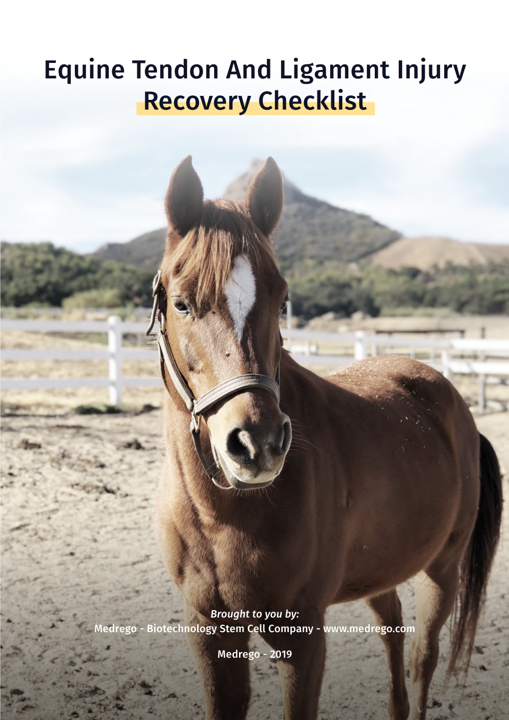 Equine Tendon and Ligament Injury Recovery Checklist