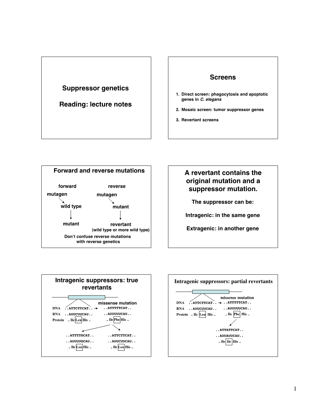 Suppressor Genetics Reading: Lecture Notes Screens a Revertant Contains