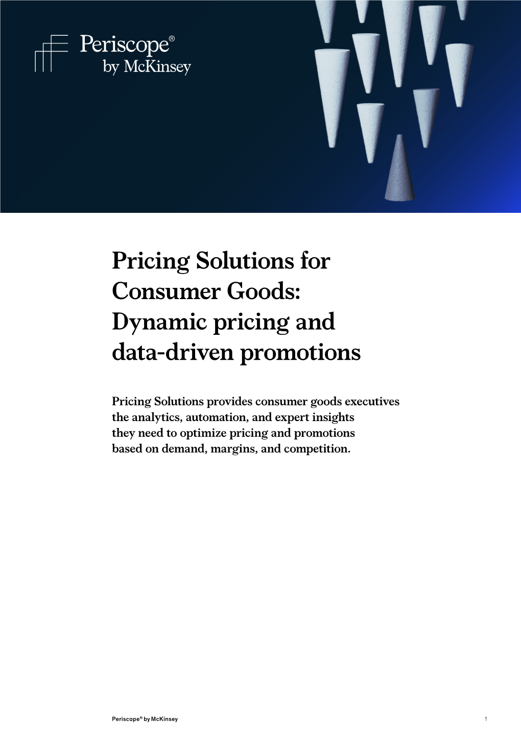 Pricing Solutions for Consumer Goods: Dynamic Pricing and Data-Driven Promotions