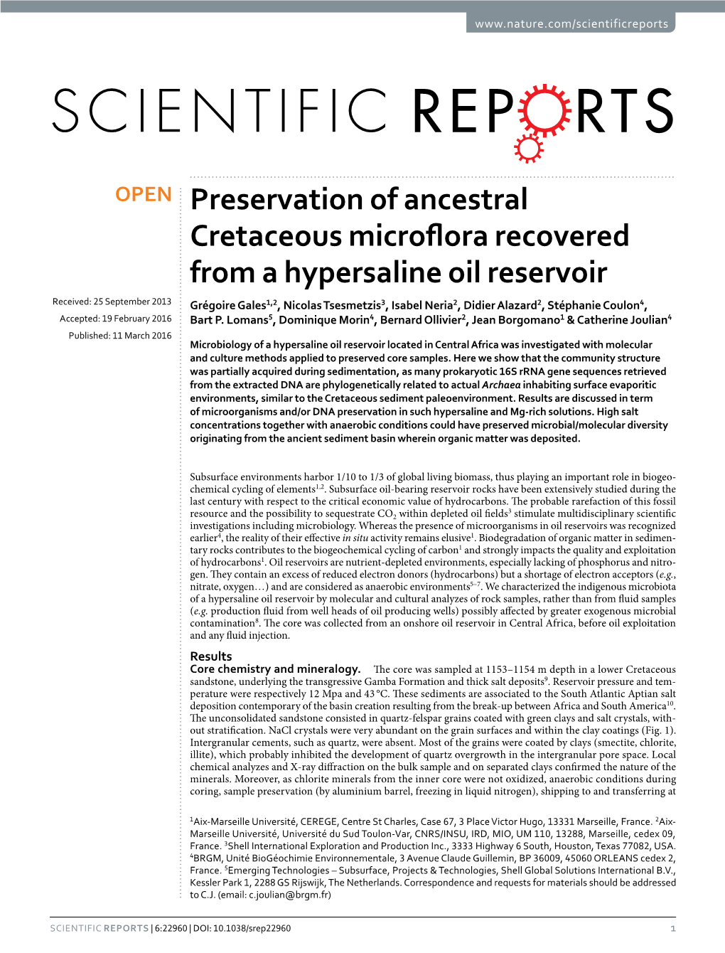 Preservation of Ancestral Cretaceous Microflora Recovered from A