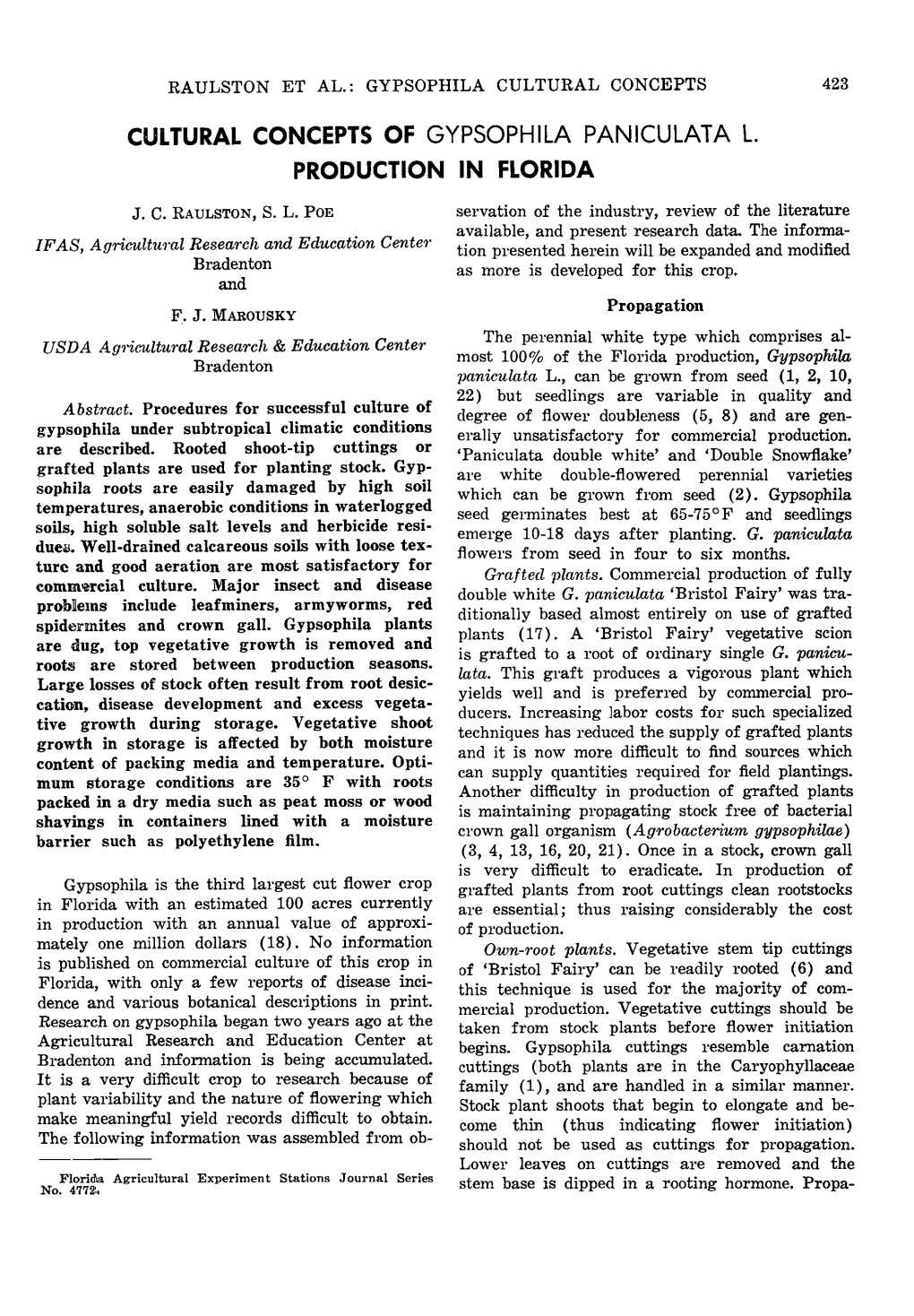 Cultural Concepts of Gypsophila Paniculata L