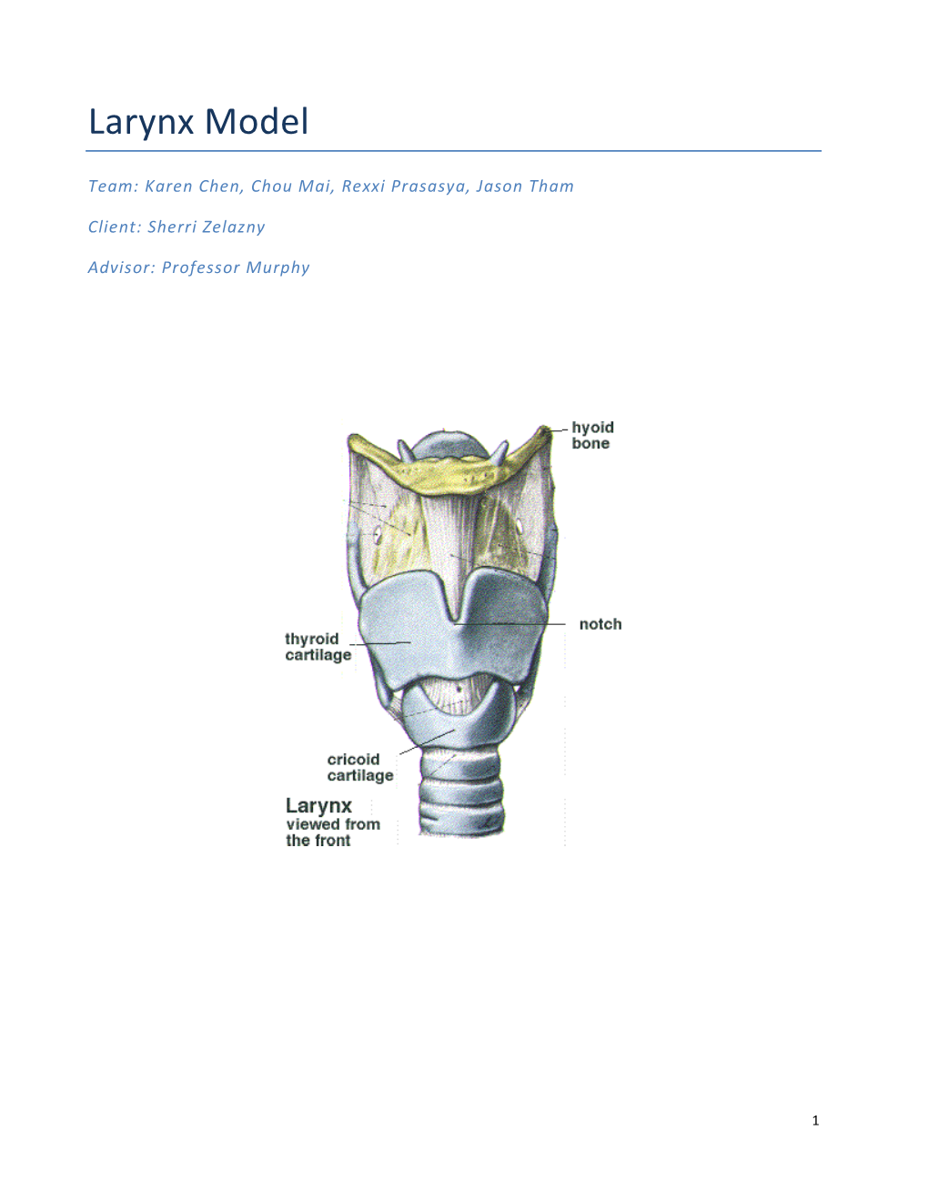 Larynx Model