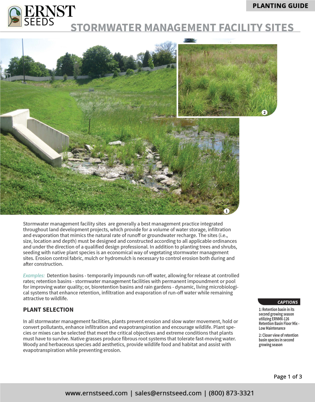 Stormwater Management Printable Planting Guide