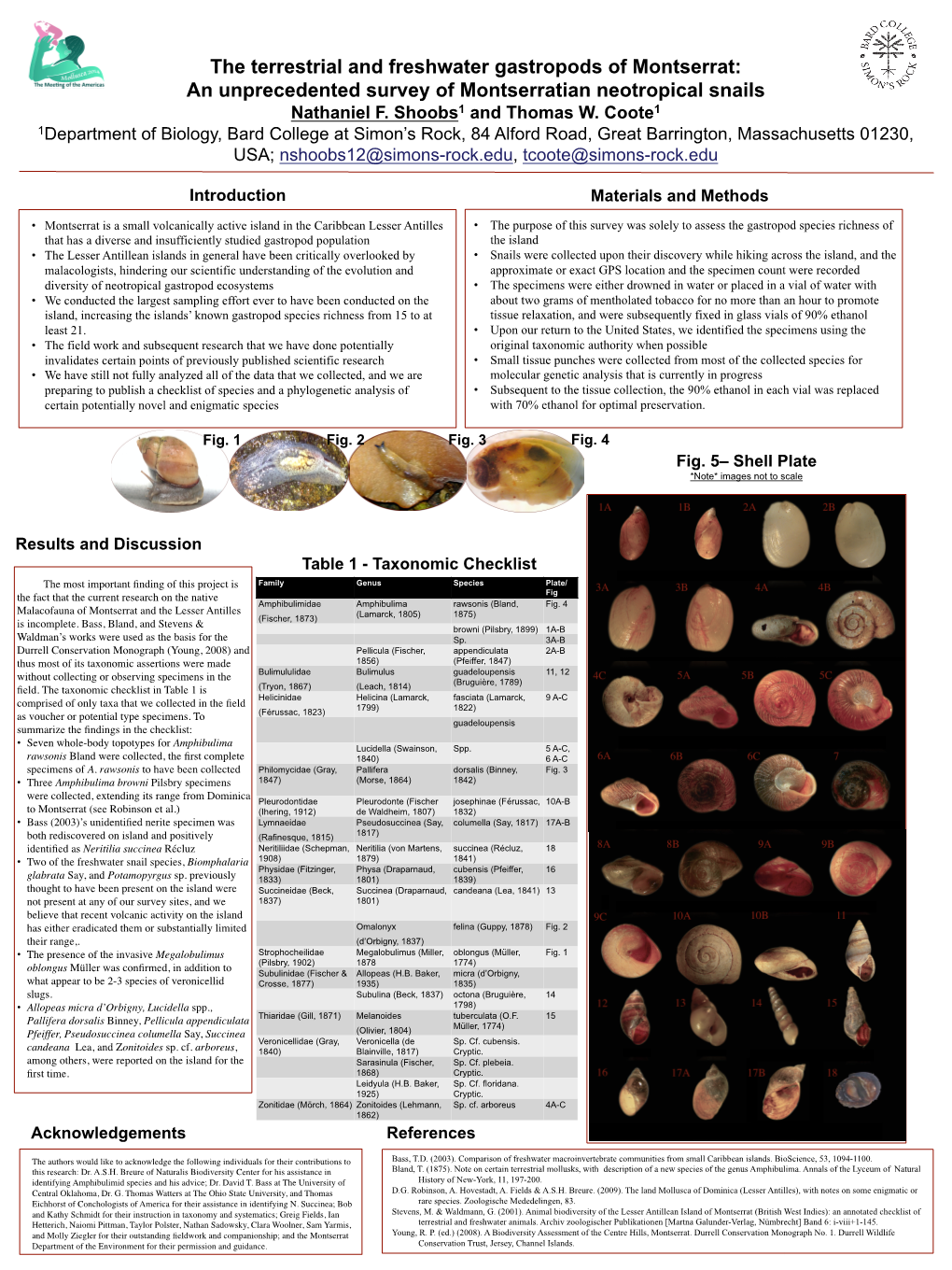 The Terrestrial and Freshwater Gastropods of Montserrat: An